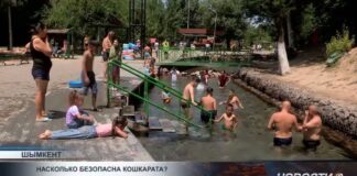 Насколько безопасна Кошкарата?