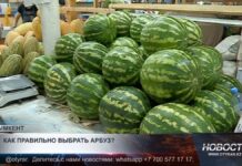 Стоит ли уже покупать арбузы?