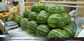 Стоит ли уже покупать арбузы?