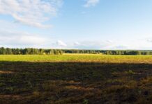 Штрафы на 4,7 млн тенге выписали по итогам земельных проверок в Шымкенте