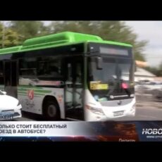 Во сколько обойдется бесплатный проезд «зайцам»?