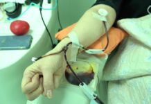 Шымкент вошёл в тройку лидеров Казахстана по количеству доноров крови