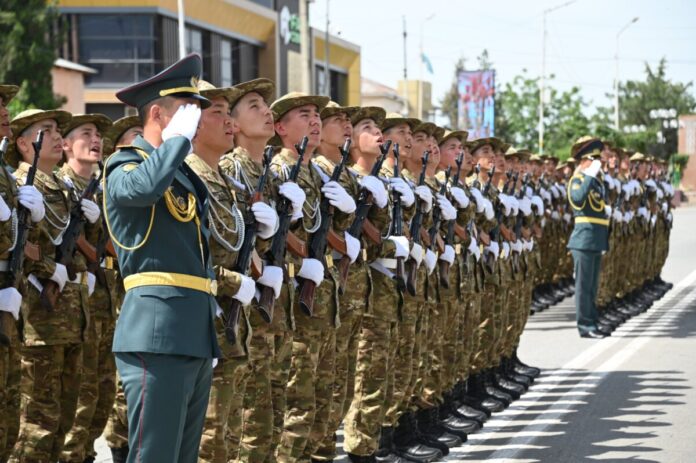 военные, солдаты, писяга