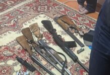 Пять единиц оружия и более 50 патронов изъяли полицейские в Туркестанской области