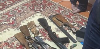 Пять единиц оружия и более 50 патронов изъяли полицейские в Туркестанской области