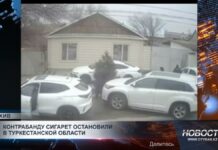Контрабанду сигарет остановили в Туркестанской области