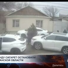 Контрабанду сигарет остановили в Туркестанской области