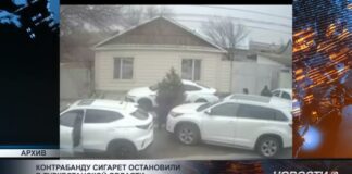 Контрабанду сигарет остановили в Туркестанской области