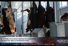 В Туркестанской области оценили развитие мясопереработки