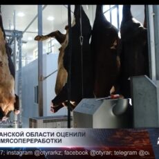 В Туркестанской области оценили развитие мясопереработки