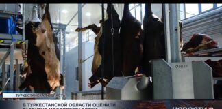В Туркестанской области оценили развитие мясопереработки
