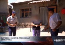 В Шымкенте не снижается количество случаев бытового насилия