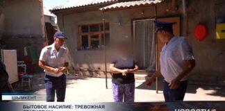 В Шымкенте не снижается количество случаев бытового насилия