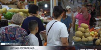 Летние отравления: как обезопасить себя
