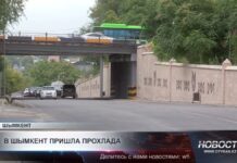 После нескольких относительно прохладных дней жара в Шымкенте вновь начнет усиливаться