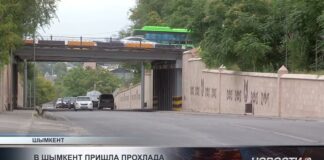 После нескольких относительно прохладных дней жара в Шымкенте вновь начнет усиливаться