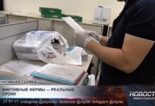 Фиктивные фермы — реальные сроки: 27 человек осудили в Туркестанской области
