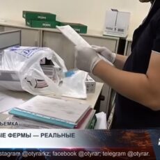 Фиктивные фермы — реальные сроки: 27 человек осудили в Туркестанской области