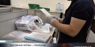 Фиктивные фермы — реальные сроки: 27 человек осудили в Туркестанской области