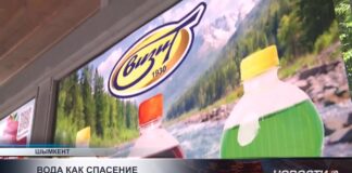 На улицах Шымкента раздали напитки от завода «Визит»
