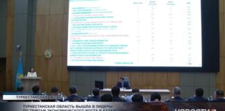 Туркестанская область вышла в лидеры по темпам экономического роста в Казахстане