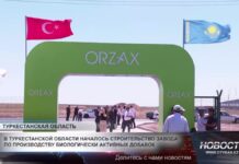 В Туркестанской области началось строительство завода по производству биологически активных добавок