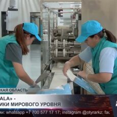 «ALTYN BALA» — подгузники мирового уровня