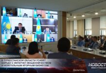 В Туркестанской области усилят борьбу с интернет-мошенничеством и нелегальным игорным бизнесом