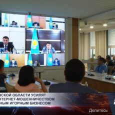 В Туркестанской области усилят борьбу с интернет-мошенничеством и нелегальным игорным бизнесом