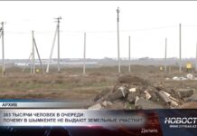 283 тысячи человек в очереди: почему в Шымкенте не выдают земельные участки?