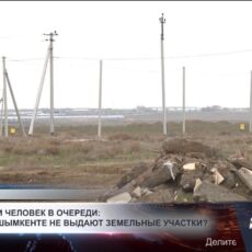 283 тысячи человек в очереди: почему в Шымкенте не выдают земельные участки?