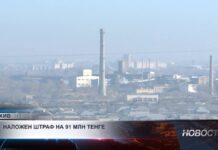 В Шымкенте усилили контроль за соблюдением экологических норм на предприятиях