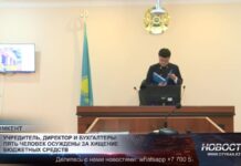 Учредитель, директор и бухгалтеры: пять человек осуждены за хищение бюджетных средств