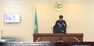 Учредитель, директор и бухгалтеры: пять человек осуждены за хищение бюджетных средств