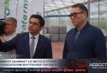 Шымкент занимает 5-е место в стране по показателям внутренней торговли