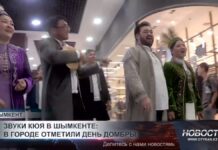 Звуки кюя в Шымкенте: в городе отметили День домбры