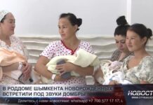 В роддоме Шымкента новорожденных встретили под звуки домбры