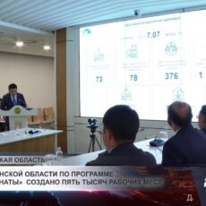 В Туркестанской области по программе «Ауыл аманаты» создано пять тысяч рабочих мест