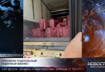 Контрафактные сигареты поставляли в Шымкент и Туркестанскую область
