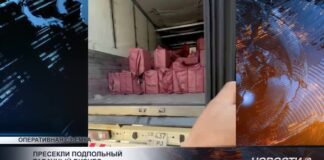 Контрафактные сигареты поставляли в Шымкент и Туркестанскую область
