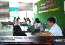 В Шымкенте продолжается реализация программы молодежной практики
