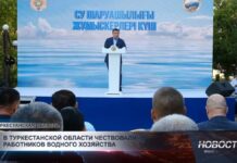 В Туркестанской области чествовали работников водного хозяйства