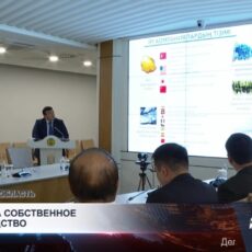 В Туркестанской области вырос объем экспорта