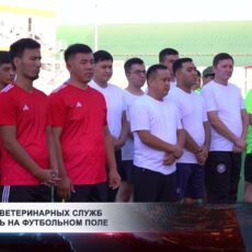 Работники ветеринарных служб встретились на футбольном поле