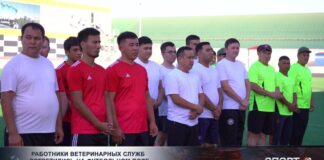 Работники ветеринарных служб встретились на футбольном поле