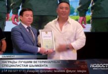 Ветеринары Шымкента отмечают профессиональный праздник