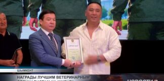 Ветеринары Шымкента отмечают профессиональный праздник