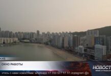Южная Корея запустила новую визу для цифровых кочевников
