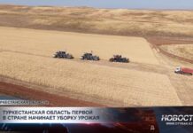 Туркестанская область первой в стране начинает уборку урожая