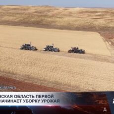 Туркестанская область первой в стране начинает уборку урожая